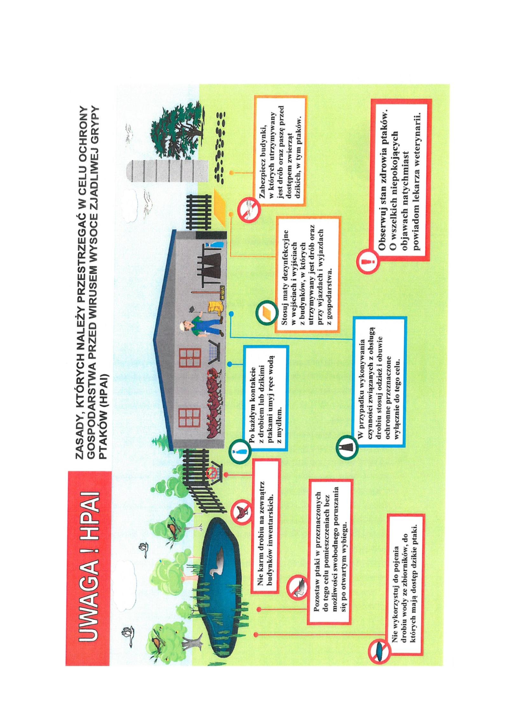 042cc941b53b529ccecb2b36c72da289-1