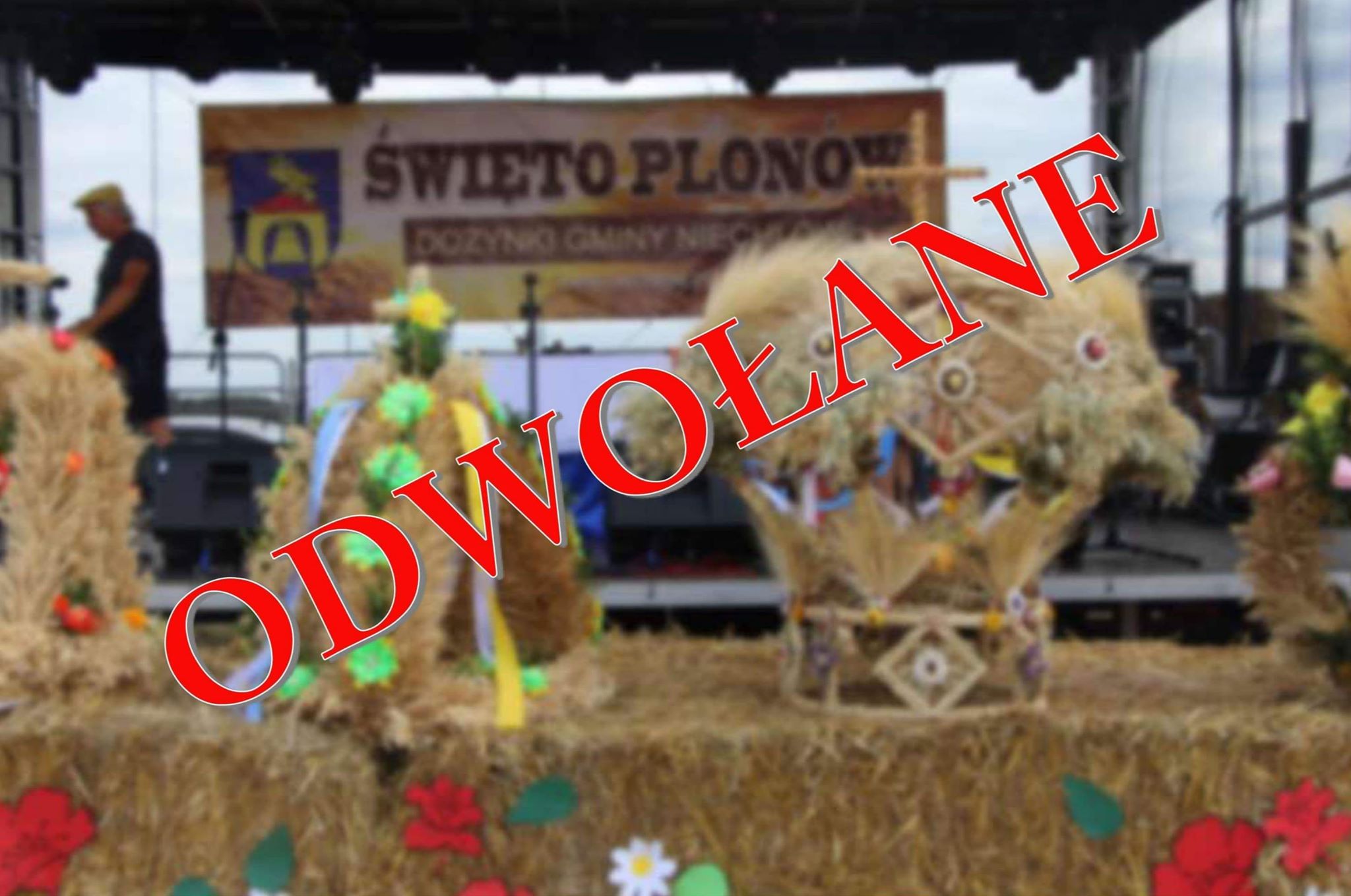 102390582_257735112214965_1793014684186574848_n