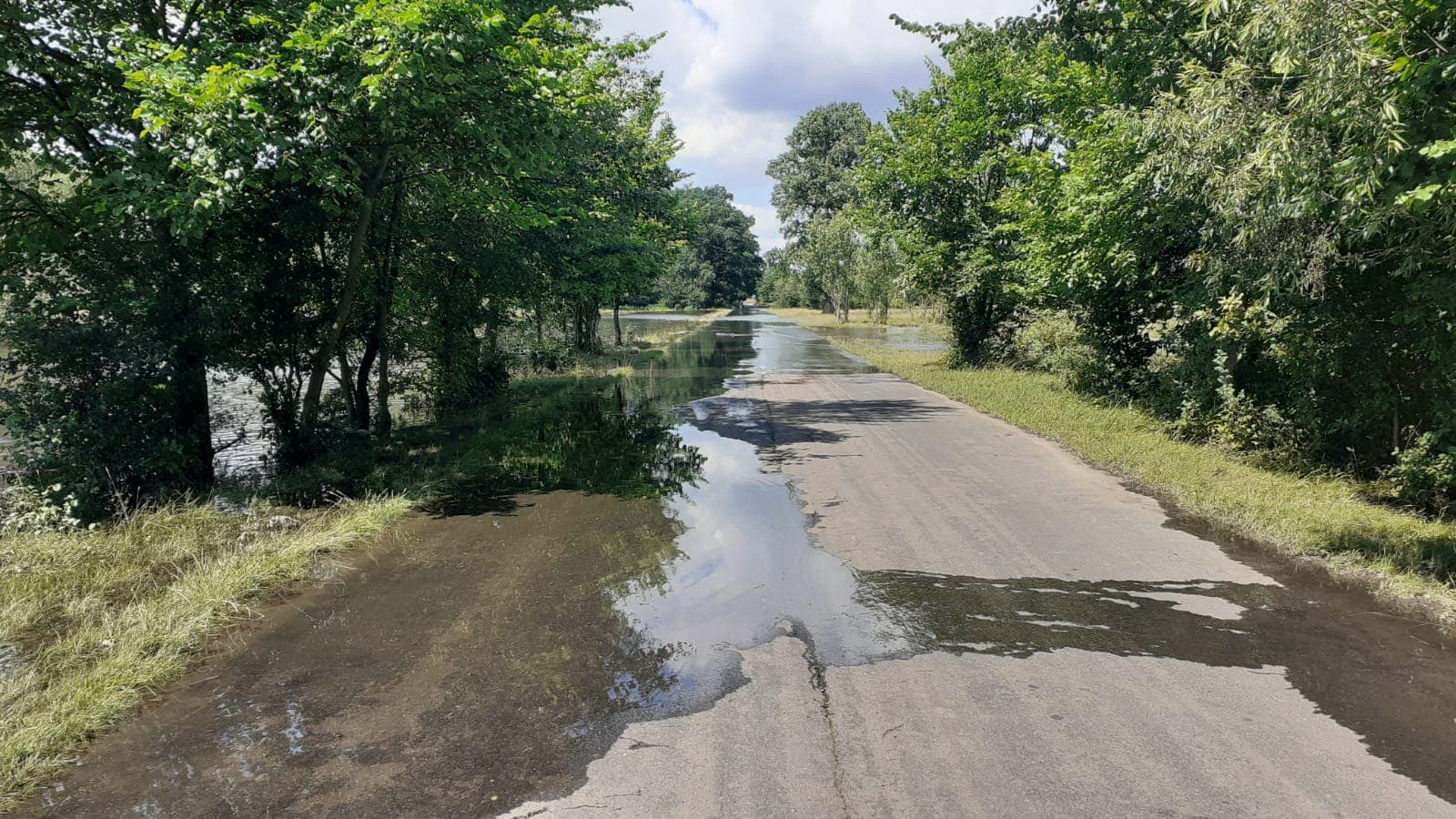 106229630_557670944879100_618348805036333820_n