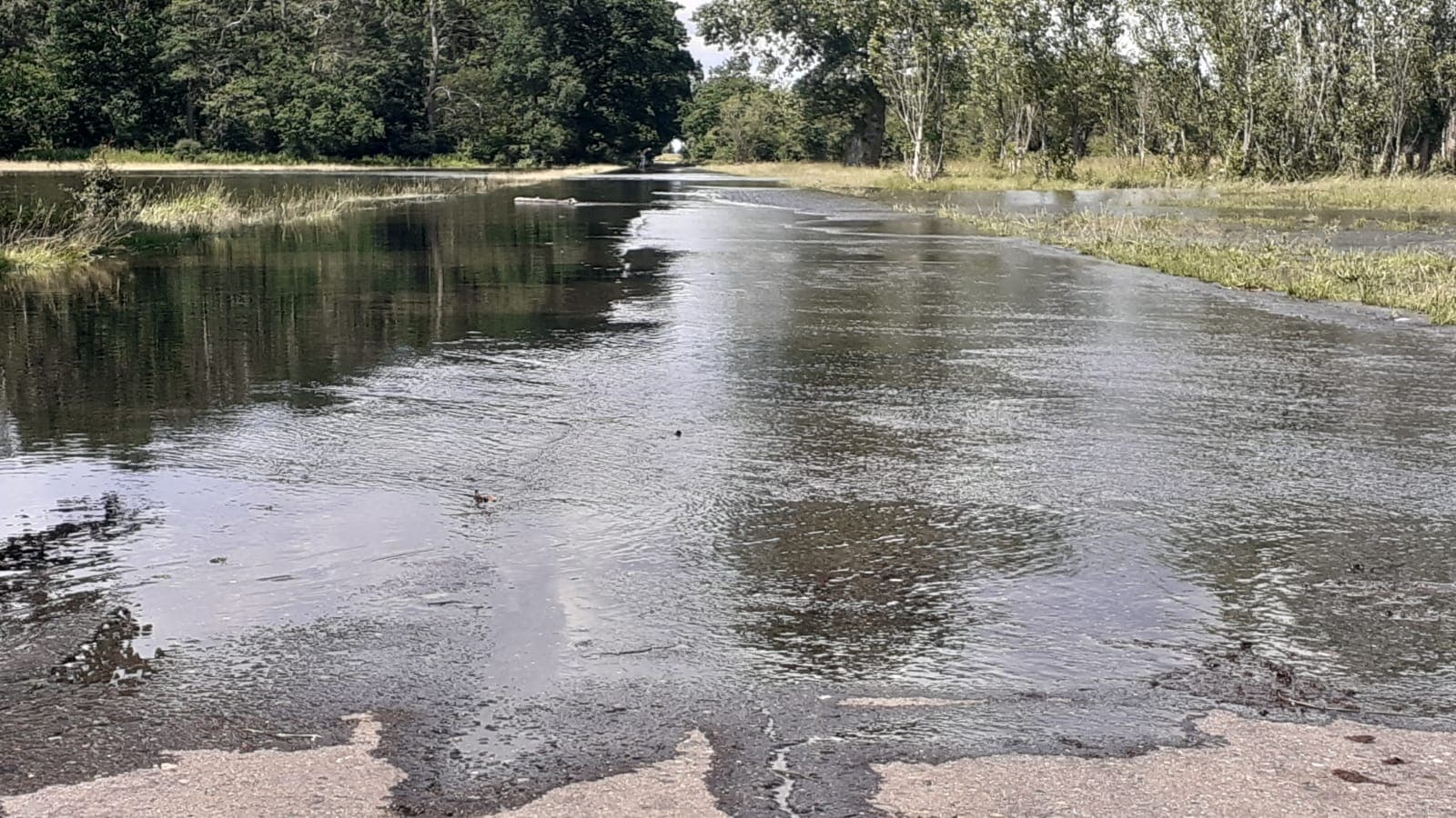 106342334_2354421698187052_4578102109326640430_n