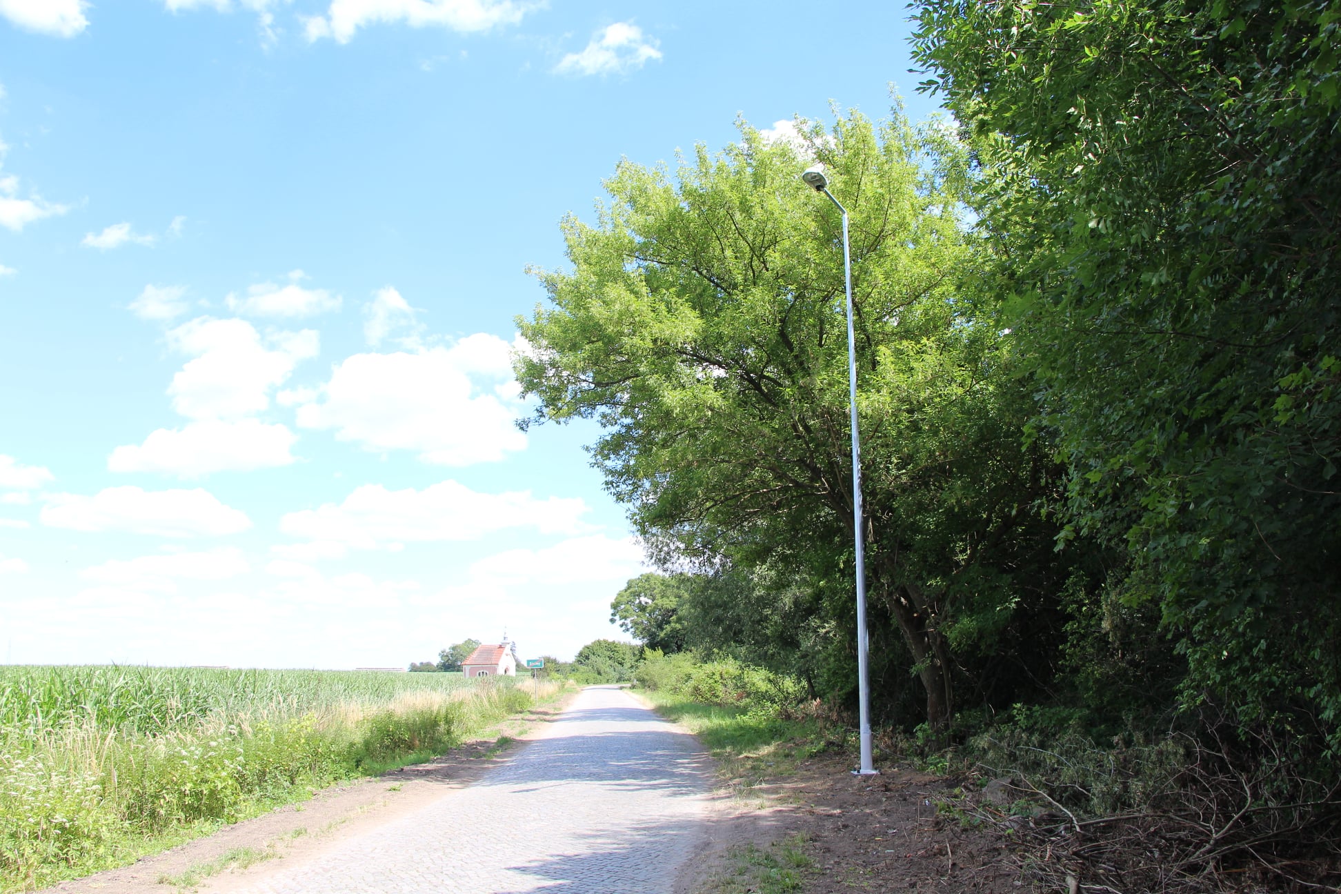 109953727_719597228611676_384215754301427335_o