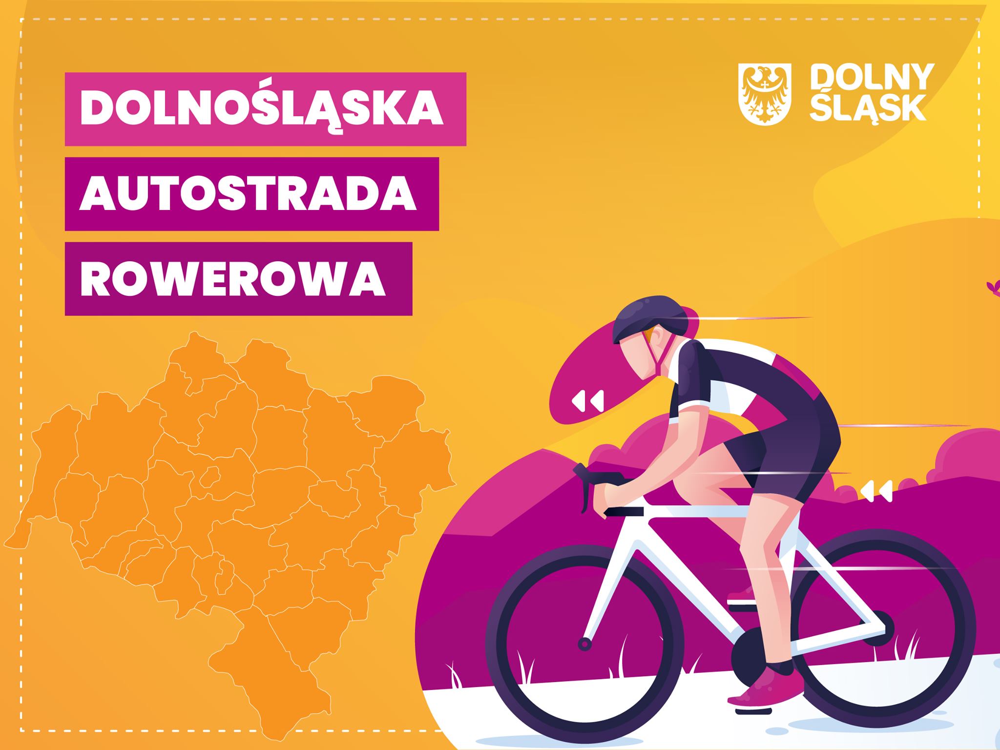 119487647_1125863967807437_4151251215572865279_o