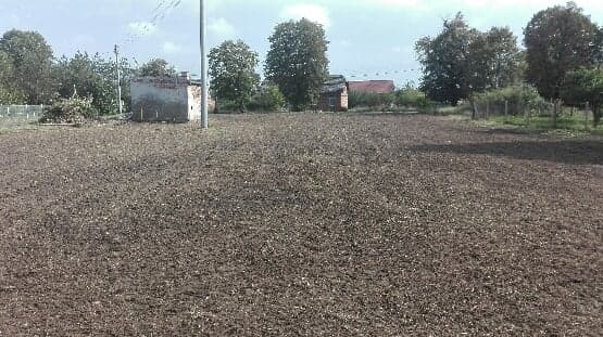 124544979_892006937999449_7583058142833345737_n