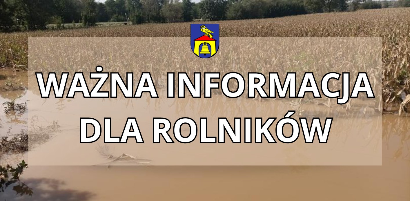 461160204_873131188128370_3347561771306167476_n