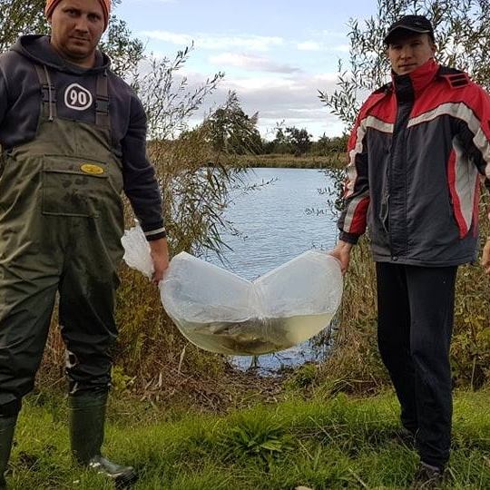 49766420_545526295925526_4939065485338607616_n