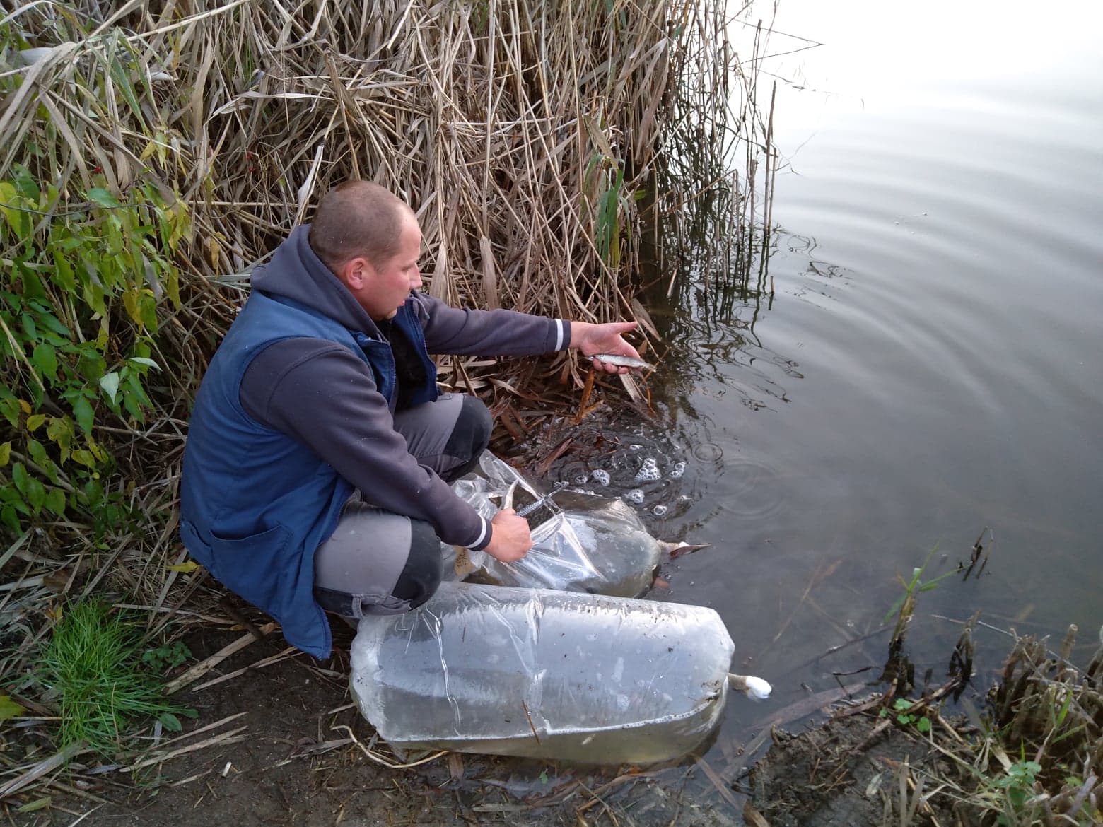 77374651_756569398154547_951246341651038208_o