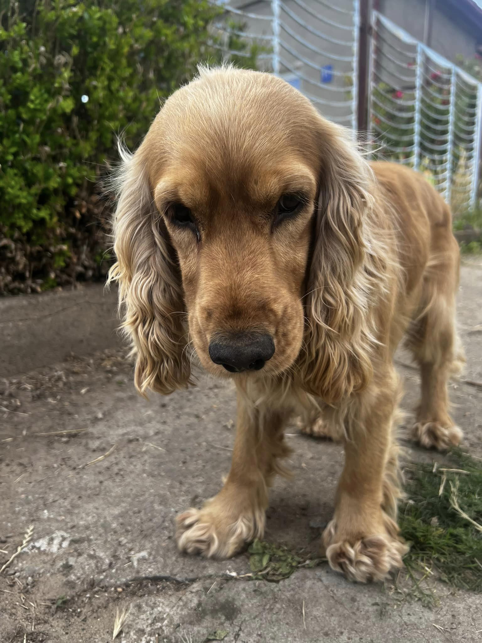 448604451_1836063220225105_1817403371042057711_n