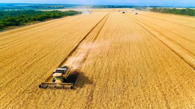 449455076_816110257163797_6181860926330303640_n