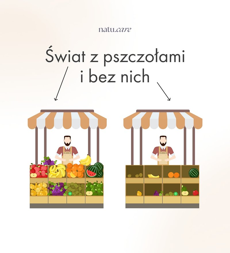 large-b43a13c15ca32072a6ef31de12b5dacc