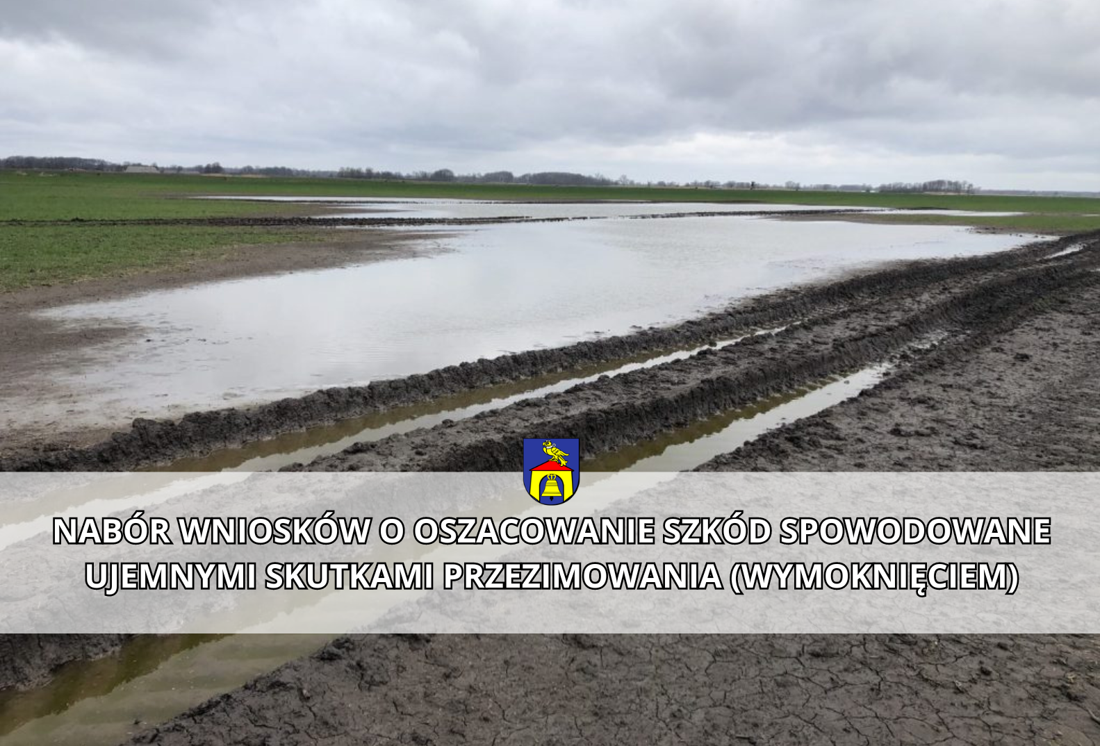 nabor-wnioskow-o-oszacowanie-szkod-spowodowane-ujemnymi-skutkam_p61268