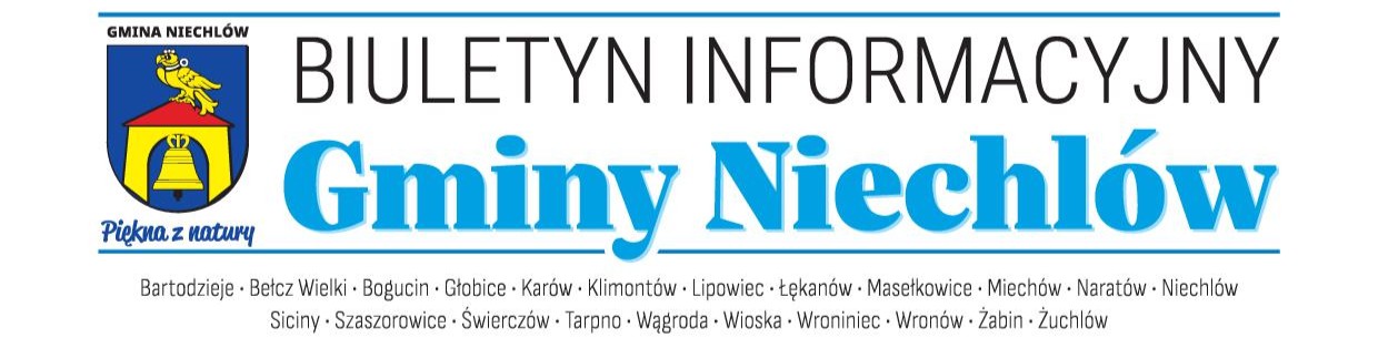 /nowiny%20niechlowskie