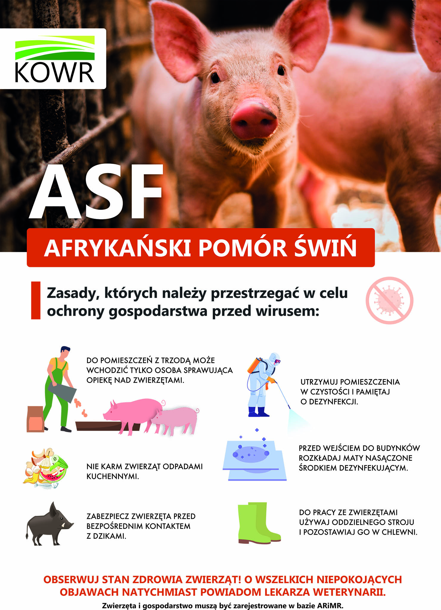 plakat_asf-wersja-zmniejszona