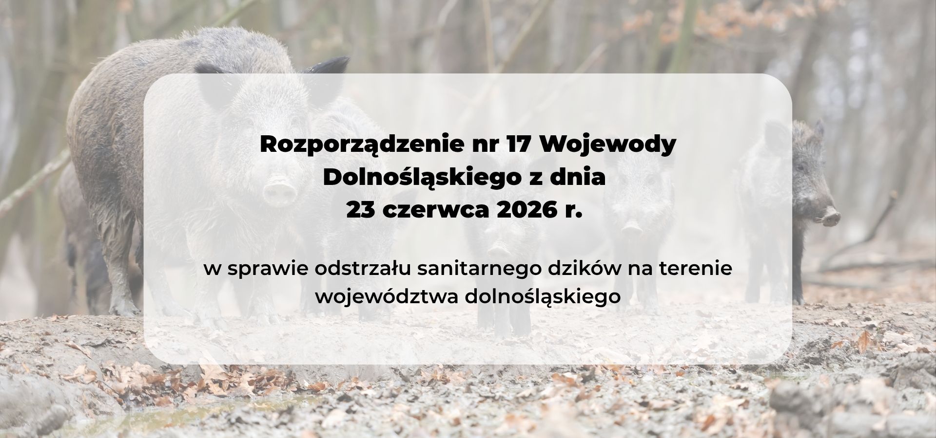 Rozporządzenie nr 17 Wojewody Dolnośląskiego z dnia 23 czerwca 2026 r. w sprawie odstrzału sanitarnego dzików na terenie województwa dolnośląskiego