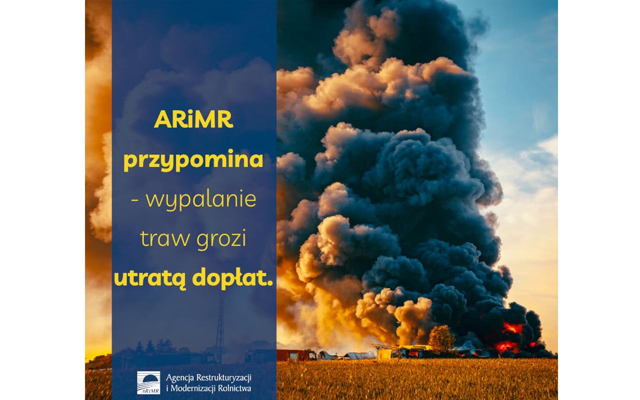wypalanie-traw