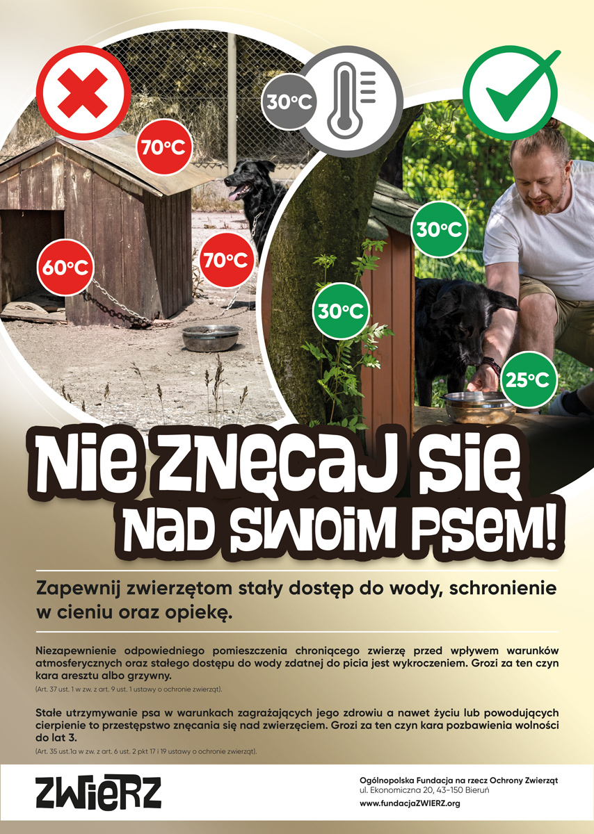 zwierz-akcja-lato-plakat-1-a3-podglad